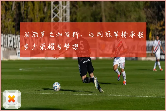 泪洒罗兰加洛斯，法网冠军榜承载多少荣耀与梦想